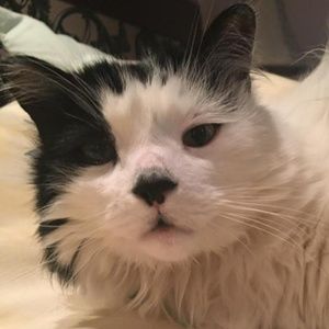 Meet your Posher, Colleen